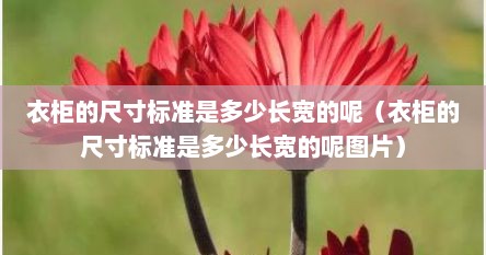 衣柜的尺寸标准是多少长宽的呢（衣柜的尺寸标准是多少长宽的呢图片）