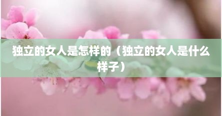 独立的女人是怎样的（独立的女人是什么样子）