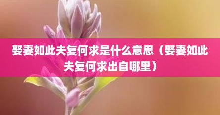 娶妻如此夫复何求是什么意思（娶妻如此夫复何求出自哪里）