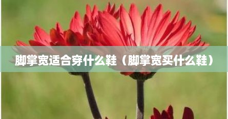 脚掌宽适合穿什么样的高跟鞋（脚掌宽的适合穿什么鞋）
