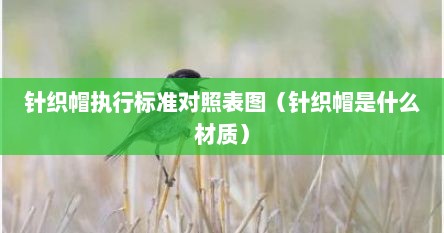 针织帽执行标准对照表图（针织帽是什么材质）