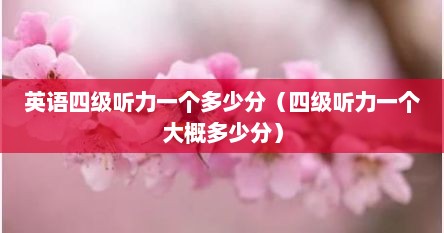 英语四级听力一个多少分（四级听力一个大概多少分）