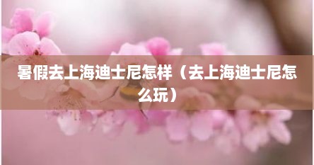 暑假去上海迪士尼怎样（去上海迪士尼怎么玩）