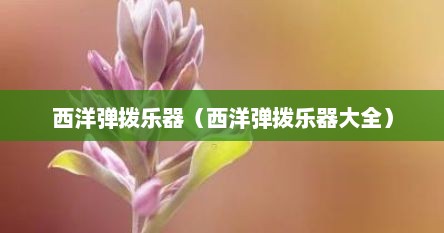 西洋弹拨乐器（西洋弹拨乐器大全）