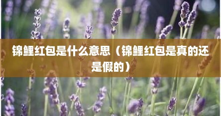 锦鲤红包是什么意思（锦鲤红包是真的还是假的）