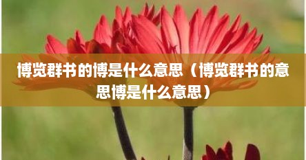 博览群书的博是什么意思（博览群书的意思博是什么意思）