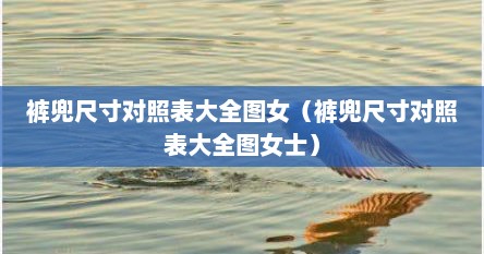 裤兜尺寸对照表大全图女（裤兜尺寸对照表大全图女士）