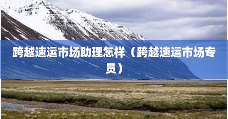 跨越速运市场助理怎样（跨越速运市场专员）