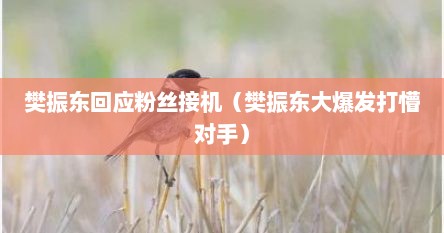 樊振东回应粉丝接机（樊振东大爆发打懵对手）