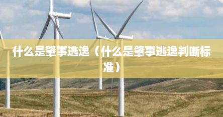 什么是肇事逃逸（什么是肇事逃逸判断标准）