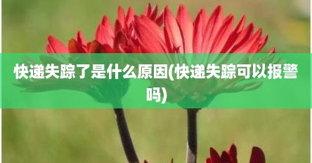 快递失踪了是什么原因(快递失踪可以报警吗)