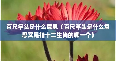 百尺竿头是什么意思（百尺竿头是什么意思又是指十二生肖的哪一个）