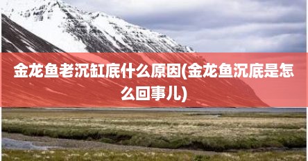 金龙鱼老沉缸底什么原因(金龙鱼沉底是怎么回事儿)