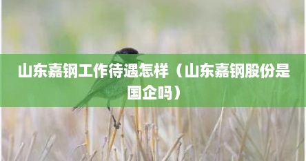 山东嘉钢工作待遇怎样（山东嘉钢股份是国企吗）