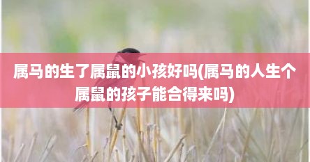 属马的生了属鼠的小孩好吗(属马的人生个属鼠的孩子能合得来吗)