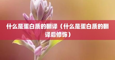 什么是蛋白质的翻译（什么是蛋白质的翻译后修饰）