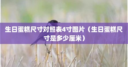 生日蛋糕尺寸对照表4寸图片（生日蛋糕尺寸是多少厘米）