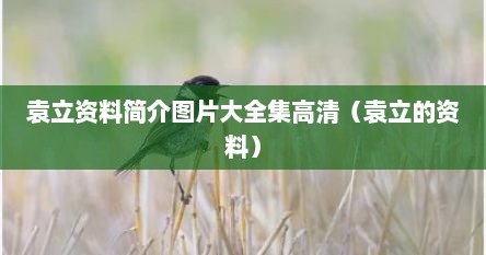 袁立资料简介图片大全集高清（袁立的资料）