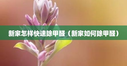 新家怎样快速除甲醛（新家如何除甲醛）