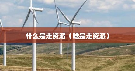 什么是走资派（啥是走资派）