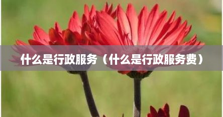 什么是行政服务（什么是行政服务费）