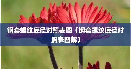 钢套螺纹底径对照表图（钢套螺纹底径对照表图解）