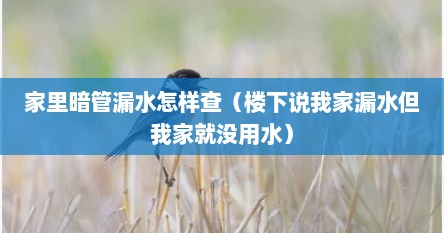 家里暗管漏水怎样查（楼下说我家漏水但我家就没用水）