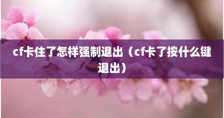 cf卡住了怎样强制退出（cf卡了按什么键退出）