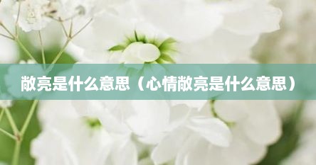 敞亮是什么意思（心情敞亮是什么意思）