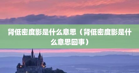 肾低密度影是什么情况（肾低密度灶是指什么）