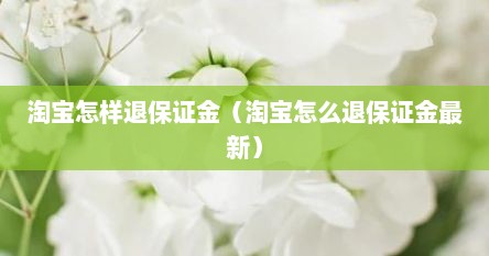 淘宝怎样退保证金（淘宝怎么退保证金最新）