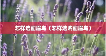 怎样选画眉鸟（怎样选购画眉鸟）