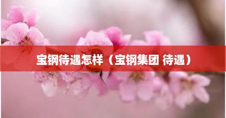 宝钢待遇怎样（宝钢集团 待遇）