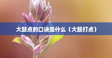 大鼓点的口诀是什么（大鼓打点）
