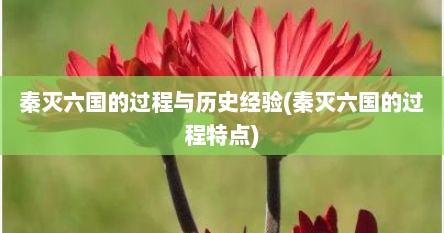 秦灭六国的过程与历史经验(秦灭六国的过程特点)