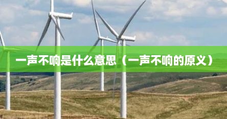 一声不响是什么意思（一声不响的原义）