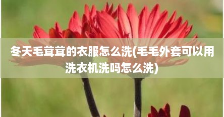 冬天毛茸茸的衣服怎么洗(毛毛外套可以用洗衣机洗吗怎么洗)