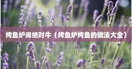 烤鱼炉询绝对牛（烤鱼炉烤鱼的做法大全）