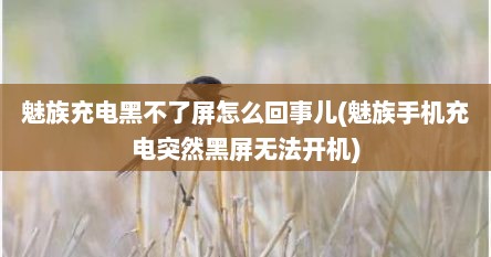 魅族充电黑不了屏怎么回事儿(魅族手机充电突然黑屏无法开机)