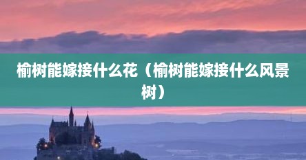 榆树能嫁接什么花（榆树能嫁接什么风景树）