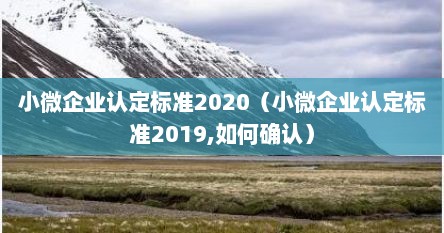 小微企业认定标准2020（小微企业认定标准2019,如何确认）