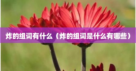 炸的组词有什么（炸的组词是什么有哪些）