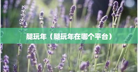 腿玩年（腿玩年在哪个平台）