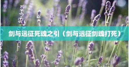 剑与远征死魂之引（剑与远征剑魂打死）