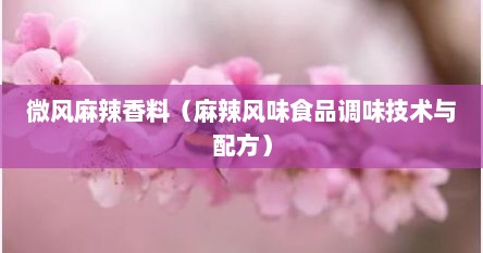 微风麻辣香料（麻辣风味食品调味技术与配方）