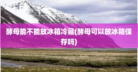 酵母能不能放冰箱冷藏(酵母可以放冰箱保存吗)