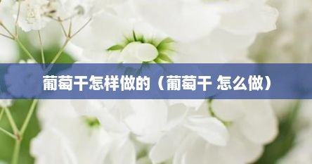 葡萄干怎样做的（葡萄干 怎么做）