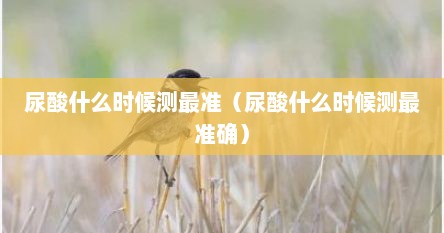 尿酸什么时候测最准（尿酸什么时候测最准确）