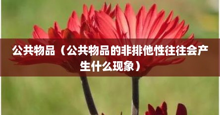 公共物品（公共物品的非排他性往往会产生什么现象）