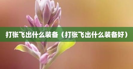 打张飞出什么装备（打张飞出什么装备好）